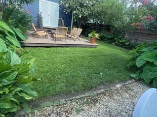 Mike B.'s grass cutting service result