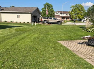 Raichaun B.'s turf care service result