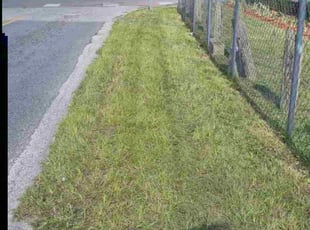 Wanda G.'s lawn care services service result