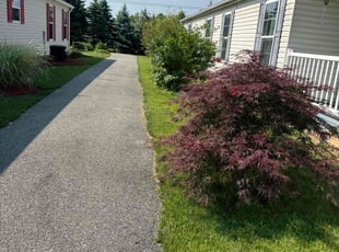 Tony B.'s lawn service service result