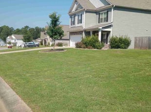 Devante N.'s lawn care service result