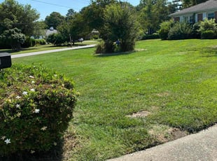 Michael O.'s grass cutting service result