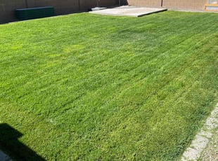 Karen P.'s grass cutting service result