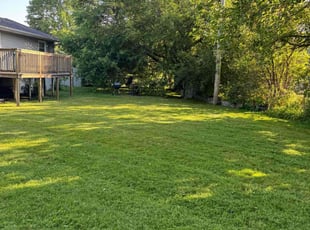 Charlene M.'s lawn care services service result