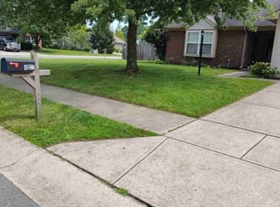 Aaron H.'s grass cutting service result