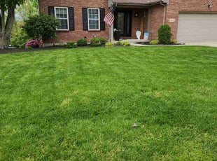 Josh G.'s lawn care services service result