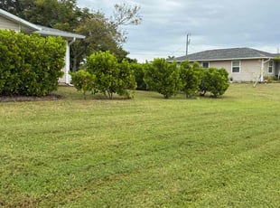 Keena M.'s grass cutting service result