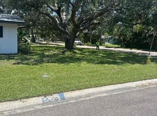 Joseph M.'s grass cutting service result