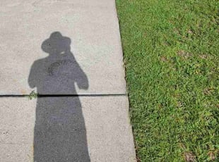 Lazar H.'s lawn care services service result