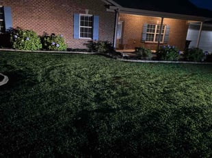 Jeremy W.'s lawn maintenance service result