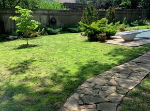 Rhiannon S.'s grass maintenance service result