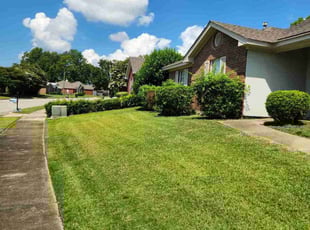 Kathleen S.'s grass cutting service result