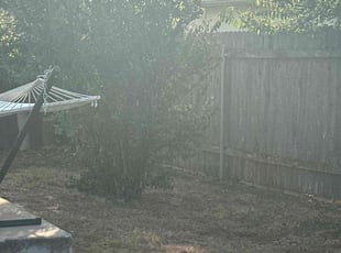 Sharon W.'s Bush Trimming service result