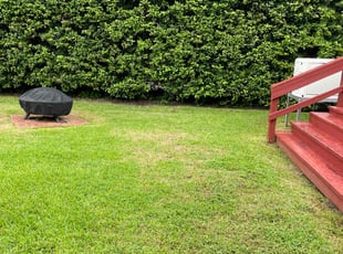 Arthur P.'s lawn care service result