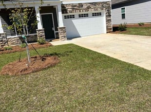 Monique W.'s grass cutting service result