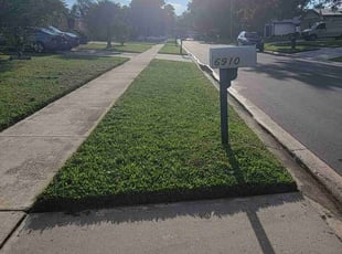 Virginia D.'s lawn care service result