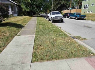 Mike B.'s grass cutting service result