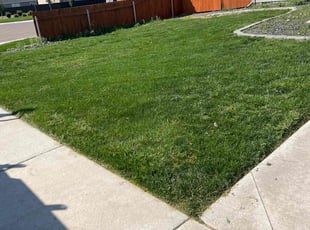 John H.'s grass cutting service result