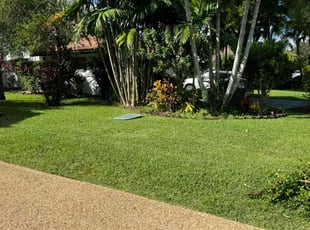 Beau M.'s grass maintenance service result