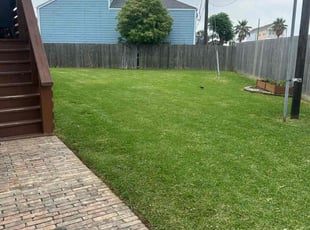 Joe G.'s turf maintenance service result
