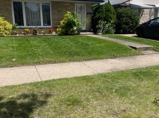 Kyle B.'s grass maintenance service result