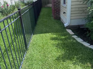 Victor Z.'s lawn service service result