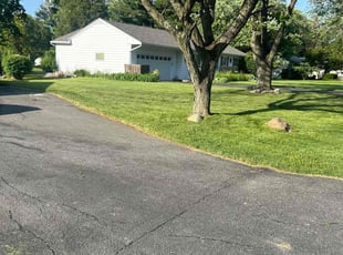 Kate B.'s lawn care service result