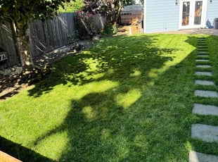 Kathy B.'s yard service service result