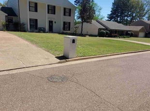 Cynthia K.'s turf care service result