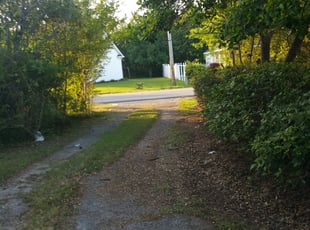 Abbey L.'s Bush Trimming service result