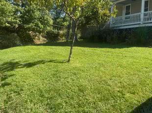 Brian L.'s turf maintenance service result
