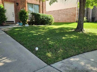 Rhonda K.'s grass maintenance service result