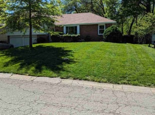 Arlene B.'s grass maintenance service result