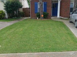 Kelly S.'s turf care service result