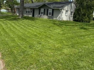 Robert S.'s turf care service result