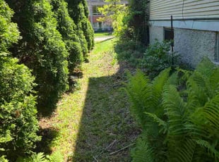 Rozlyn M.'s turf maintenance service result