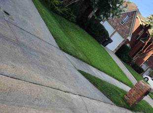 Tracy F.'s lawn maintenance service result