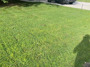 Julie F.'s turf maintenance service result