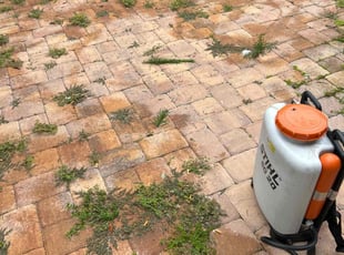 Chanda C.'s Weeding service result