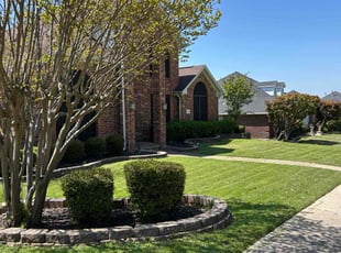 Michael M.'s grass cutting service result