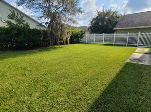 Victoria A.'s lawn maintenance service result