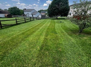 Bill T.'s lawn service service result