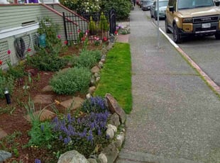 Glenn B.'s lawn care service result