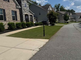 Elaine V.'s grass cutting service result