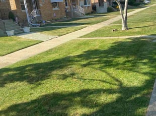 Adija R.'s Long Grass Cleanup service result