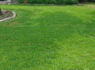 Todd V.'s lawn care services service result
