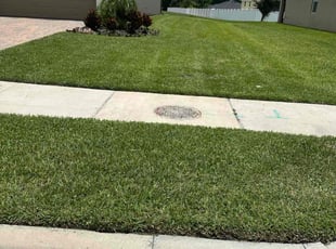 Linda H.'s grass maintenance service result