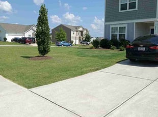 Jim A.'s yard work service result