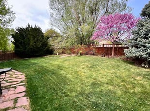 Carrie H.'s residential landscaping service result