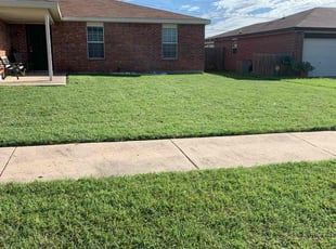 Marcos C.'s lawn care service result